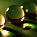 bienestar psicología salud